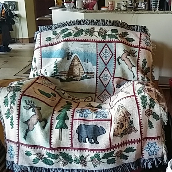 Other - Beautiful cabin, northwoods decorative throw